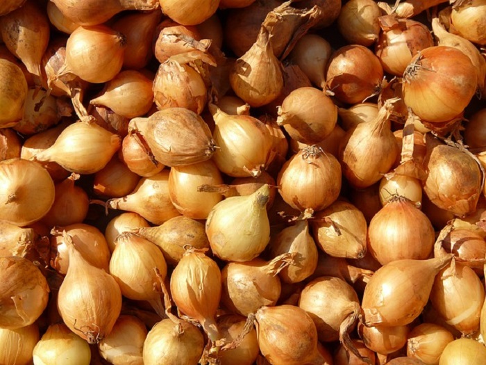 Photo Credit https://pixabay.com/en/shallot-shallots-noble-onion-onion-5765/