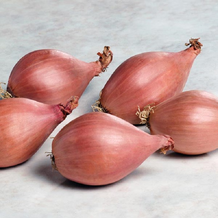 Photo Credit http://www.mr-fothergills.co.uk/Onions-Garlic/Shallot-Picasso_9.html#.Vd2soyWqqko