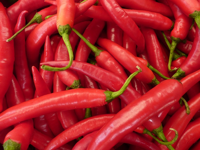 Photo Credit http://mollysguide.co.uk/2014/08/11/east-midlands-chilli-festival/