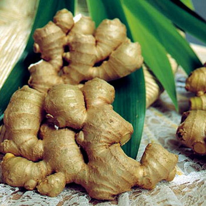 Photo Credit http://www.thesensualfoodie.com/2012/11/it-must-be-the-ginger/