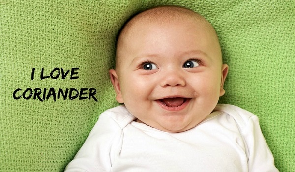 10 Reasons You Need Coriander In Your Life   – Health Benefits & Nutritional Facts