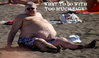 14 Ways Sage Can Keep You Healthy and Fit