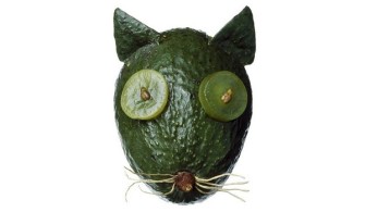 Avocado, The World’s Healthiest Food You Never Knew About