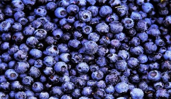 Bilberry Benefits: How Bilberries Help the Body