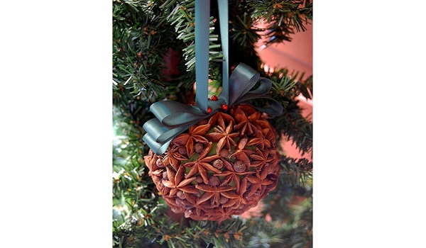 Health Benefits of Anise You Probably Never Knew