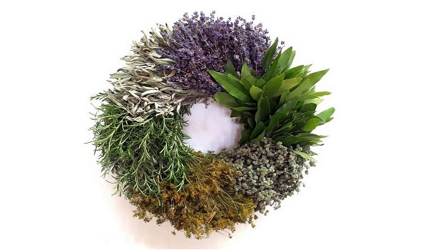 Marvelous Benefits That Bay Leaf Provides To Your Health