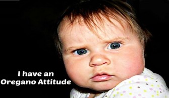 Surprising Health Benefits of Oregano