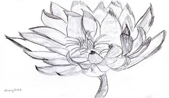 The Secret Healing Benefits Of Rosemary