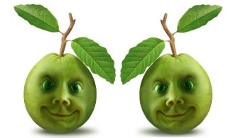 Top 10 Healthy Reasons to Eat Guavas this Season