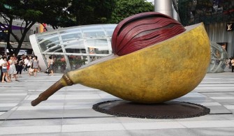 What Is Nutmeg Good For? – Health Benefits & Nutritional Facts