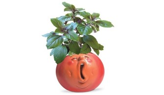 What’s So Healthy About Basil? Benefits & Nutrition Facts