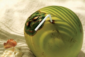 10 Benefits of Drinking Coconut Water You Didn’t Know About