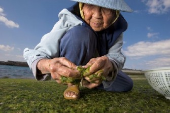 Okinawa Diet- The Secret To Living 100+